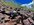 IMG_3784.jpeg