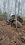 IMG_3713.jpeg