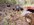 IMG_3684.jpeg