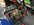 IMG_2736.jpeg