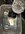 IMG_2751.jpeg