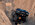 IMG_2624.jpeg