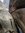 IMG_20240909_125231134~2.jpg