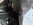 IMG_20240909_170926016~2.jpg