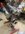 IMG_8897.jpeg