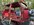 IMG_7056.jpeg