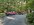 IMG_7052.jpeg