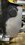 IMG_9485.jpeg