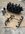 IMG_0516.jpeg
