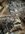 IMG_3088.jpeg
