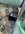 IMG_6193.jpeg