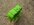 IMG_2759.jpeg