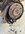 IMG_2031.jpeg