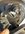 IMG_2033.jpeg