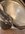 IMG_1235.jpeg