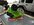 IMG_2767.jpeg