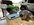 IMG_2768.jpeg