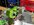 IMG_2769.jpeg
