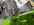 IMG_2772.jpeg