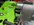 IMG_2773.jpeg
