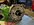 IMG_2774.jpeg
