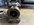 IMG_2775.jpeg
