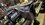 IMG_9517.jpeg