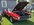 IMG_9640.jpeg