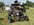IMG_9674.jpeg