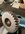 IMG_1183.jpeg