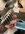 IMG_1182.jpeg