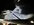 IMG_0379.jpeg