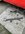 IMG_0376.jpeg