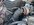 IMG_0825.jpeg