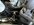 IMG_0830.jpeg