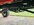 IMG_9747.jpeg