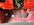IMG_9821.jpeg