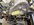 IMG_0041.jpeg