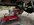 IMG_2788.jpeg