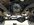 IMG_2786.jpeg