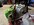 IMG_2804.jpeg