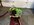 IMG_2805.jpeg
