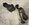 IMG_0545.jpeg