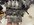 IMG_0391.jpeg