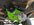 IMG_2819.jpeg