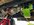 IMG_2821.jpeg