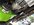 IMG_2831.jpeg