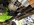 IMG_2833.jpeg