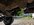 IMG_2834.jpeg