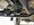 IMG_2837.jpeg
